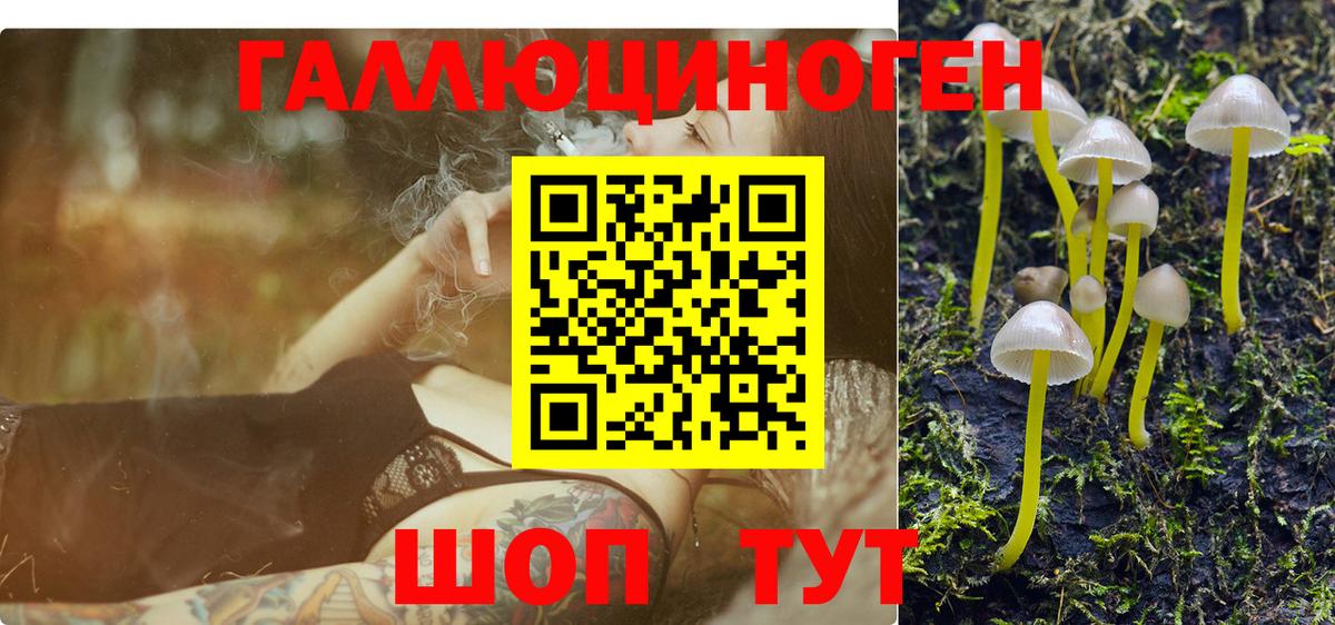 Галлюциногенные грибы мухоморы Котельники