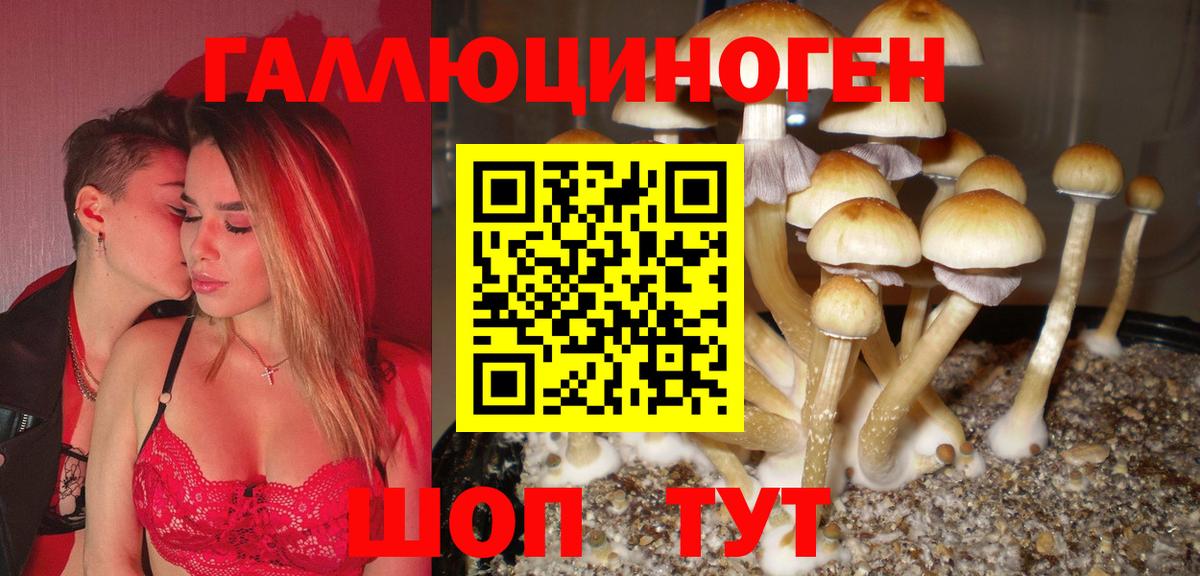 Галлюциногенные грибы MAGIC MUSHROOMS  купить наркотики сайты  Котельники  Вход с VPN 